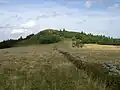 Gipfelbereich
