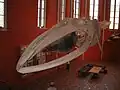 Barten des Finnwals (Balaenoptera physalus) im Meeresmuseum Stralsund