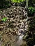 Sinter