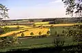 Das Rapskreuz von Stromberg wurde 2005 angelegt.