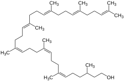 Strukturformel von Bactoprenol