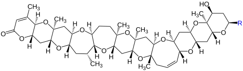 Brevetoxin B