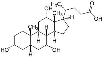 Strukturformel der Cholsäure