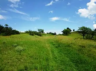 Auf dem Struvenberg
