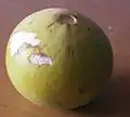 Strychnos spinosa Frucht