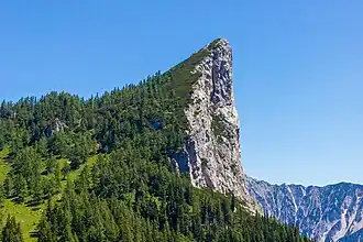 Stubwieswipfel