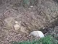 Der Grenzstein KH