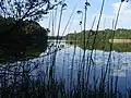 Suhrer See