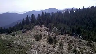 Blick vom Gipfel des Sulzkopf zum Rechelkopf