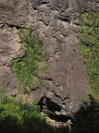 Von-der-Becke-Höhle