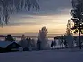 Orsasjön (2006)