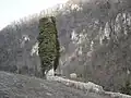 Sveta Jana, Turanj