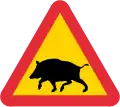 Wildschweine