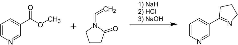 Synthese von Myosmin