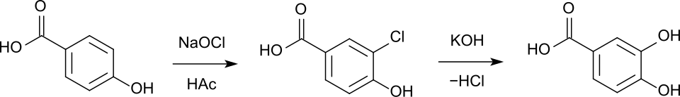 Herstellung von Protocatechusäure aus Piperonylsäure