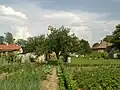 Garten in Szügy
