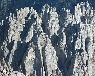 Nördlicher Teil der Törlspitzen von Osten: Nördliche Törlspitze (links), Bauernpredigtstuhl (vorne links), Goinger Turm (mittig), Goinger Törlspitze (rechts daneben), Westliches Törleck (rechts), Östliches Törleck (ganz rechts)
