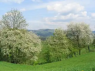 Tromm-Gebirgszug vom Weschnitztal aus