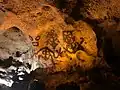 Höhlenmalereien im Nationalpark Cueva de las Maravillas