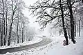 Schneefall in Tabarka