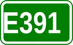 E391