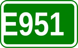 E951
