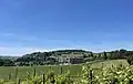 Blick zum Taggenberg von Osten