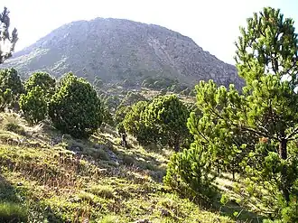 Vulkan Tajumulco