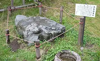 Schildkröten-Stein