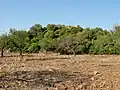Talaiot de sa Gruta