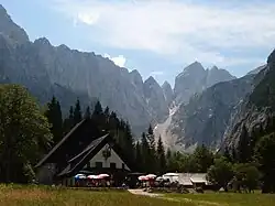 Tamar