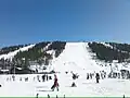 Die Hauptpiste Stora Backen von Talseite (2008)