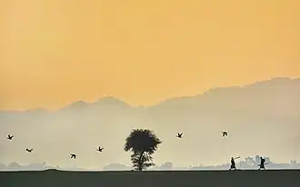 Szenerie in Tanguar Haor