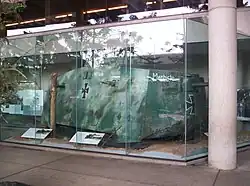 Der A7V 506 „Mephisto“ an seinem alten Standort, den er von 1986 bis 2011 im australischen Queensland Museum, Brisbane, innehatte. Aufgesprühte Anstriche, wie sie hier gezeigt werden, gab es im Ersten Weltkrieg noch nicht.
