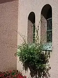 Seitliche Kirchenfenster Tannenhof.