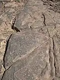 Taouz, Felszeichnung