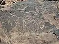 dito