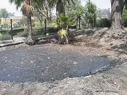 Teergrube in La Brea, Kalifornien