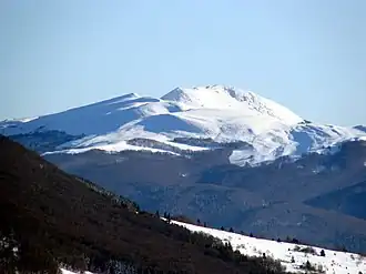 Westansicht der Tarnica (Januar 2008)