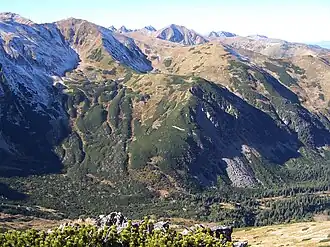 Mittig im Bild