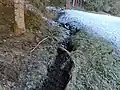 Steinbauerbach, Zubringer beim Tatschnigteich