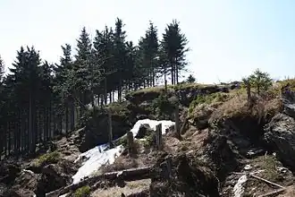 Gipfel des Taufichtigs