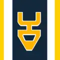 Flagge von Tauron