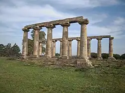 Metapont
