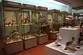 Ornithologische Sammlung