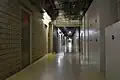 Technikebene (−1) Theoretikum
