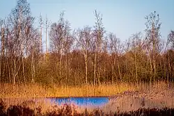 Kleiner Teich