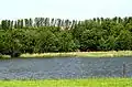 Kleindrebnitzer Teiche nahe Goldbach