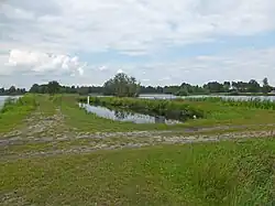 Teichlandschaft