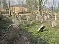 Jüdischer Friedhof bei Telice (Dölitschen)